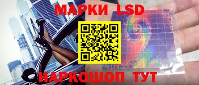 Альфа ПВП Краснознаменск