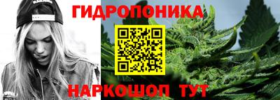 Альфа ПВП Краснознаменск